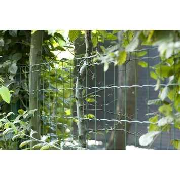 Betafence Pantanet Tuingaas Family 183 Cmx25 M Groen - Afbeelding 6