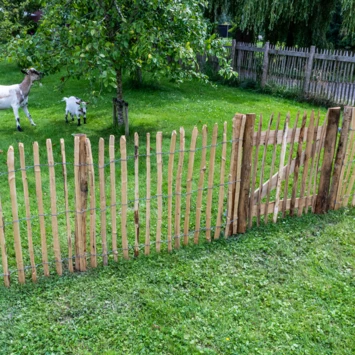 Tuinpoort Theems 100x100cm - Afbeelding 3